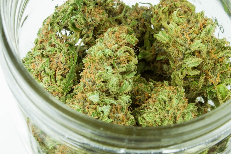 Medizinsches-Cannabis-Sanitygroup-Blog-jeff-w-unsplash