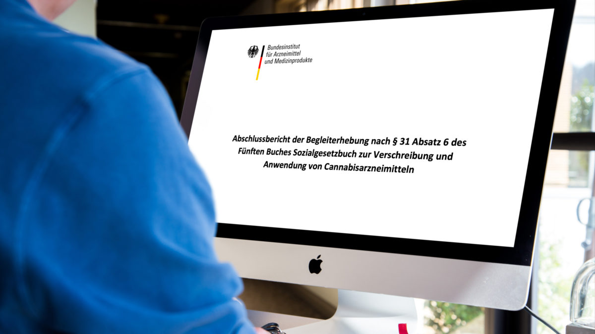 Mann liest BfArM-Cannabis-Begleiterhebung am Computer-Bildschirm.