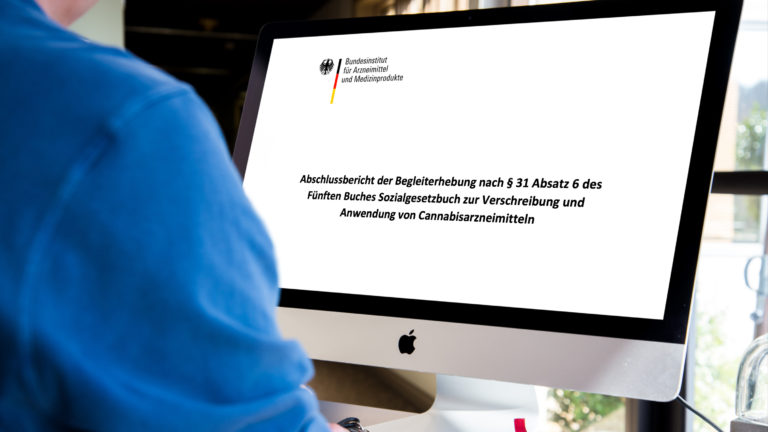 Mann liest BfArM-Cannabis-Begleiterhebung am Computer-Bildschirm.