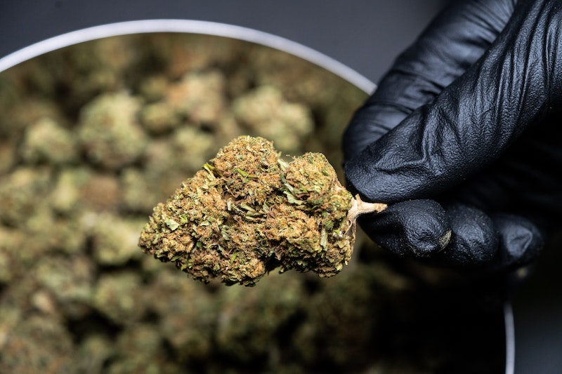 Was ist CBD SanityGroup Blog