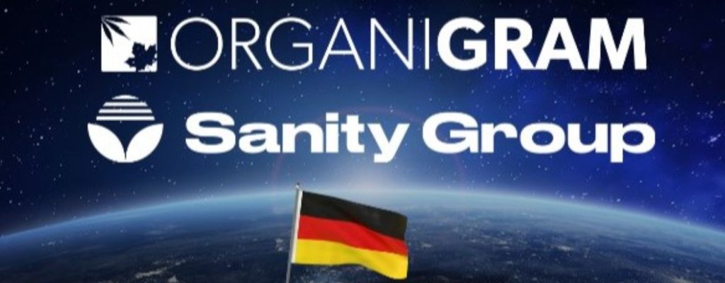 Organigram_Sanity Group_Juni 2024