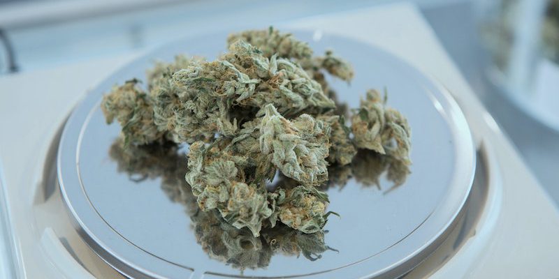 SanityGroup-Blog-Cannabis-Produkte-und-Darreichungsformne